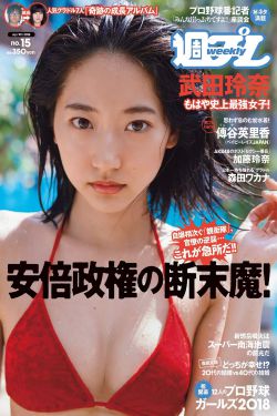 新居之约电视剧免费观看